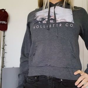 Size Small Gray Hollister Hoodie